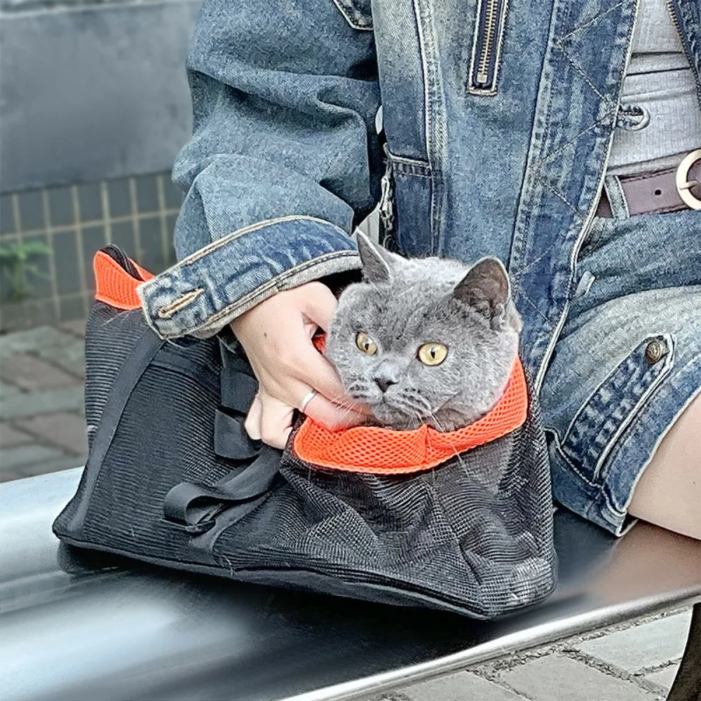 강아지 배낭 휴대용 가방 테디 고양이 핸드백 원숄더 접 - Foldable Backpack Small 리뷰 및 가격